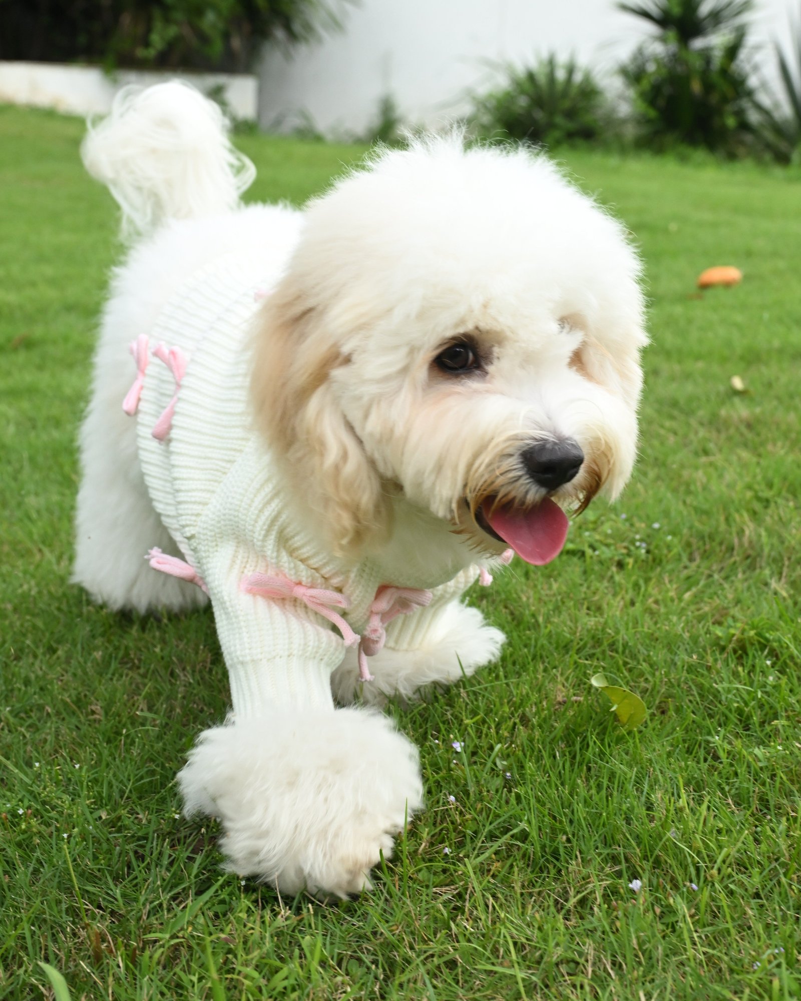 Pink Bow-3D Motif Pet Sweater - Image 7