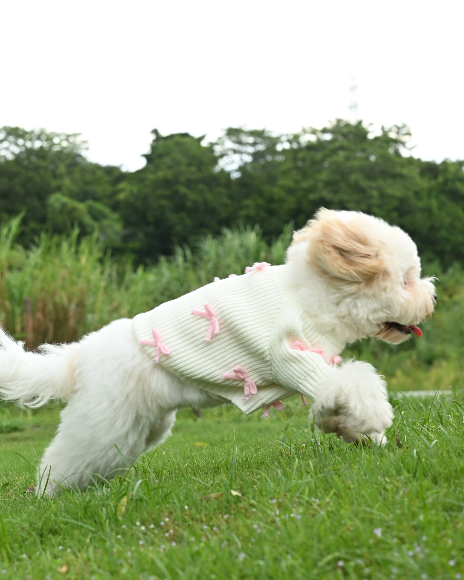 Pink Bow-3D Motif Pet Sweater - Image 4